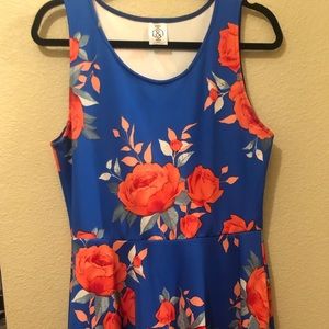 Agnes and Dora Fisher dress